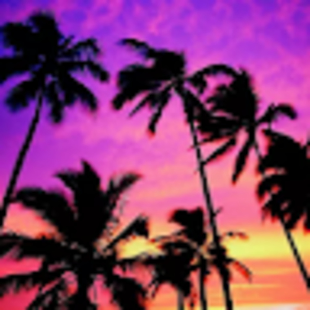 Meet your Posher, Dami